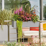 LECHUZA Jardinière BALCONERA Stone 80 ALL-IN-ONE Gris