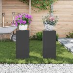 vidaXL Supports pour plantes 2 Pièces Noir 24 x 24 x 55 cm Acier