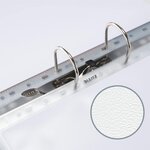 Boite de 100 Pochettes perforées ouverte 2 cotés A4 PP 0 13 mm Grainée LEITZ