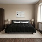 vidaXL Duvet complet toute l'année Noir 240 x 260 cm Microfibre