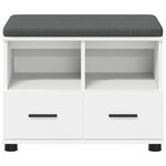 vidaXL Banc d'entrée avec coussin avec tiroir Blanc 60 x 38 x 46 cm