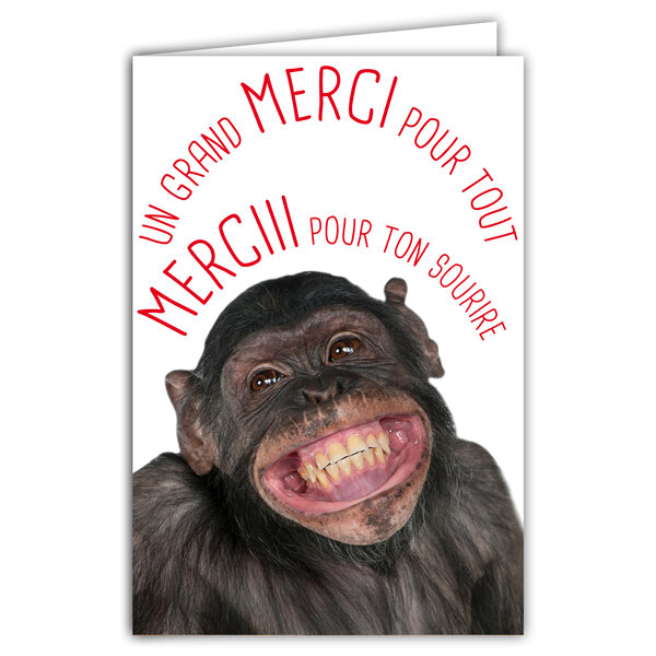 Carte MERCI pour ton Sourire Remerciements Message Humoristique avec Enveloppe Illustrée format 17 5x12cm Singe Chimpanzé Bonobo Drôle Amusant Rigolo qui sourit Création Fabrication française 69-6222