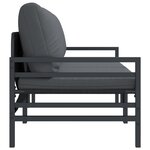 vidaXL Mobilier de jardin avec coussin 2 Pièces Anthracite Acier