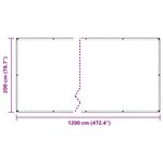 vidaXL Couverture pour plantes Transparent 2 x 12 m PVC