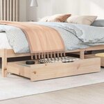 vidaXL Tiroirs sous le lit avec roulettes 2 Pièces 90x55x17 cm pin massif