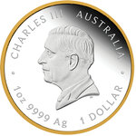 Pièce de monnaie en Argent 1 Dollar g 31.1 (1 oz) Millésime 2026 H.M. QUEEN ELIZABETH II (PRÉCOMMANDE)