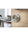 THIRARD - Cylindre de serrure double entrée  40x45mm  anti-arrachement  laiton  3 clés