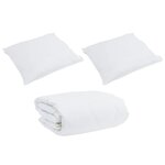 vidaXL Couette Other avec oreiller 3 Pièces Blanc 200 x 200 cm Bas
