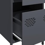 vidaXL Buffet anthracite 35x39x73 5 cm acier laminé à froid