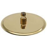 vidaXL Pomme de douche pluie Acier inoxydable 20 cm Ronde Doré