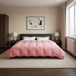 vidaXL Duvet d'hiver 200 x 200 cm Hiver Microfibre (100  polyester)
