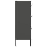 vidaXL Armoire à tiroirs Anthracite 80x35x101 5 cm Acier