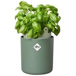 Pot de fleurs Rond BOUNCY BASIL - Plastique - Ø 16 - Leaf Green