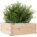 vidaXL Jardinière 60x60x23 cm bois de pin massif
