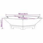 vidaXL Braise Noir 100 x 100 x 28 cm Acier laminé à froid