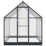 vidaXL Serre de jardin avec porte Anthracite 183 5 x 183 5 x 207 cm