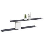 vidaXL Étagère flottante 2 Pièces Anthracite 100 x 9 x 2 5 cm Acier
