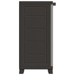 vidaXL Armoire en plastique 65x45x97 cm