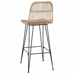 vidaXL Tabouret de bar 2 Pièces Naturel 44 x 55 x 109 cm Rattan et Acier