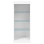 vidaXL Buffet avec lumières LED blanc 41x37x100 cm