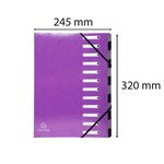 Trieur Harmonika 12CP Iderama violet EXACOMPTA