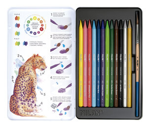 Crayons de couleur aquarellables Boite métallique 12 pièces + 1 pinceau