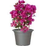 ARTEVASI - Pot venezia cilindro 60cm anthracite 60 x 60 x h43 cm - 1,95l