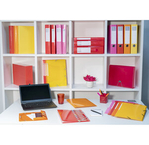 Classeur A4 2 anneaux 30mm Iderama  jaune x 10 EXACOMPTA