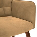 vidaXL Chaise de relaxation Marron Velours