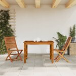 vidaXL Chaises pliantes de jardin lot de 2 bois d'acacia solide