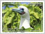 Timbre Nouvelle Calédonie - Oiseaux marins