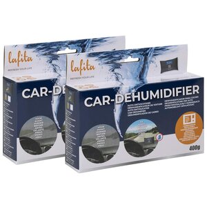 VidaXL Déshumidificateurs réutilisables pour voiture 2 Pièces 400 g