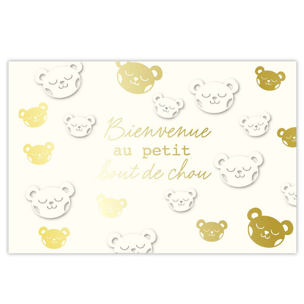 Carte de Vœux Thème Naissance - Plusieurs Styles - Bienvenue au petit bout de chou - Draeger