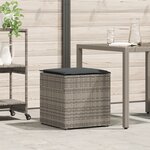 vidaXL Boîte de Rangement Extérieure Grise et Grise Foncée Rotin Grande