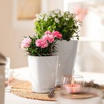 LECHUZA Jardinière MINI DELTINI ALL-IN-ONE Blanc