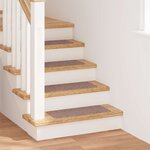 vidaXL Marches d'escalier 15 Pièces Marron clair 60 x 25 cm Polypropylène