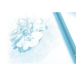 Bloc 20 Feuilles de Dessin à Grain Fin 24x32 cm 224g Blanc CLAIREFONTAINE