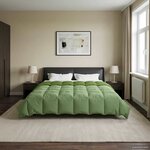 vidaXL Duvet complet toute l'année Vert 200 x 200 cm Microfibre