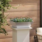 vidaXL Pot de jardin en forme de bol Argent 50 x 50 x 15 cm