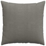 vidaXL Coussins de canapé 2 Pièces Gris clair 60 x 60 cm