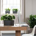 LECHUZA Jardinière de table Delta20 ALL-IN-ONE Fusain métallique 15563