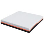 vidaXL Matelas Blanc et Gris 180 x 200 cm Mousse à Mémoire