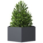 vidaXL Jardinière anthracite hexagone 104x90x45 cm acier