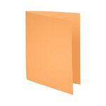 Paquet de 100 chemises JURA PEAU en carte 160 grammes assortis EXACOMPTA