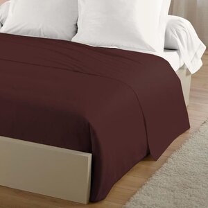 Drap plat 100 coton 240 x 300 cm - Marron
