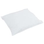 vidaXL Oreiller avec oreiller 2 Pièces Blanc 40 x 40 cm Plume