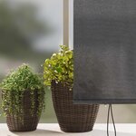 vidaXL Store Roulant Extérieur Rayé Anthracite 220 x 250 cm tissu