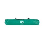 vidaXL Tente de plage 2 personnes libération rapide imperméable