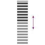 vidaXL Store zèbre noir 55x230 cm largeur du tissu 50 9 cm polyester