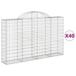 vidaXL Paniers à gabions arqués 40 Pièces 200x30x120/140 cm Fer galvanisé